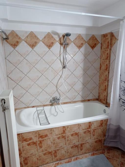 Trikala Alex House Apartment Екстериор снимка