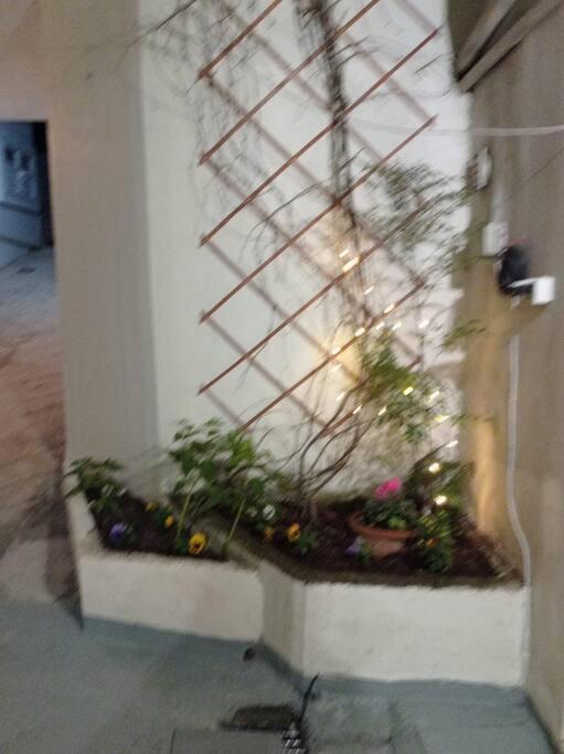 Trikala Alex House Apartment Екстериор снимка